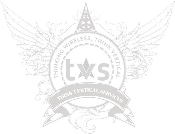 TVS Think Vertical Services winged tower logo